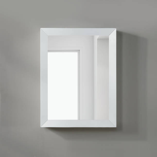 Hokku Designs Muna 23.5'' W 19.5'' H Surface Mount Framed Medicine